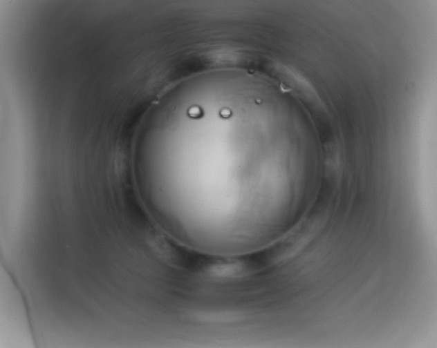 X0000114150369200910081337