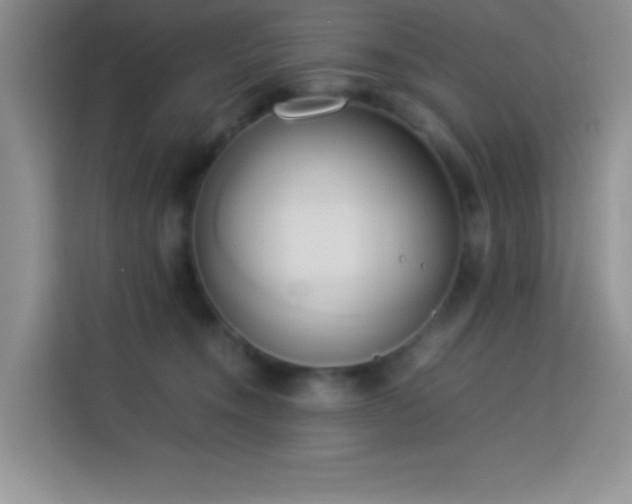 X0000114150372200910081338