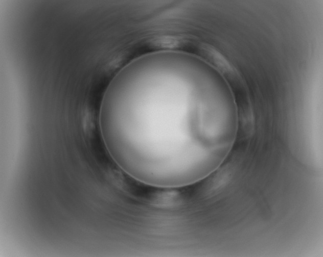 X0000114150374200910081338