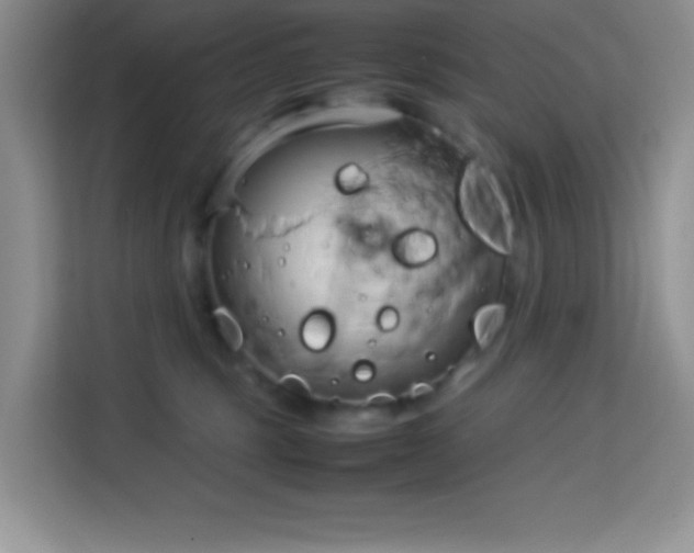 X0000114150375200910081338