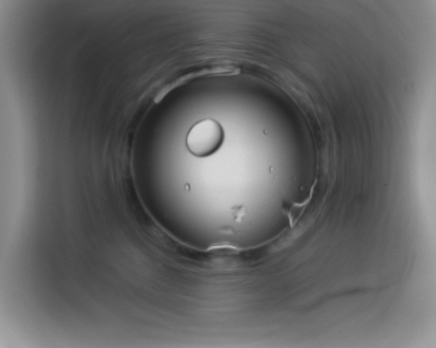 X0000114150376200910081338