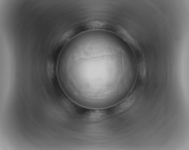 X0000114150378200910081338