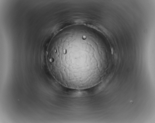 X0000114150379200910081338