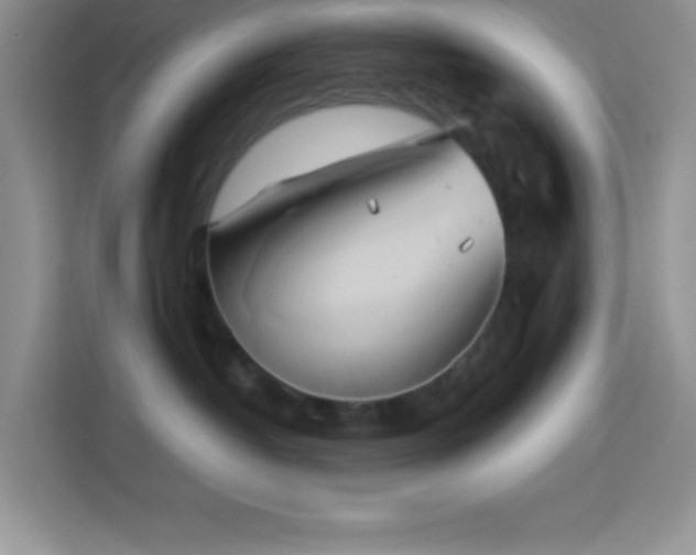 X0000114150382200910081338