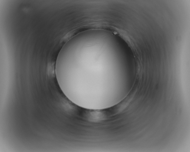 X0000114150383200910081338
