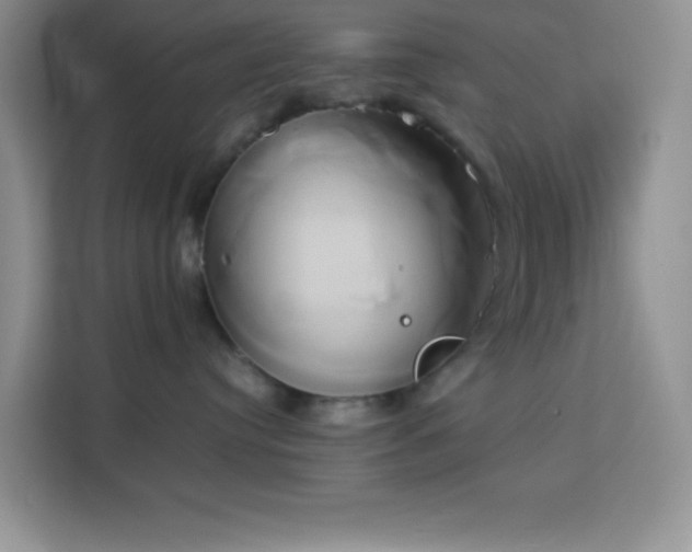 X0000114150384200910081338