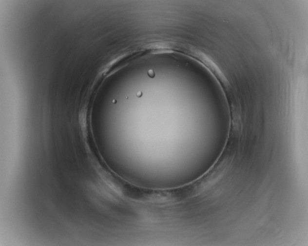 X0000114150386200910081337
