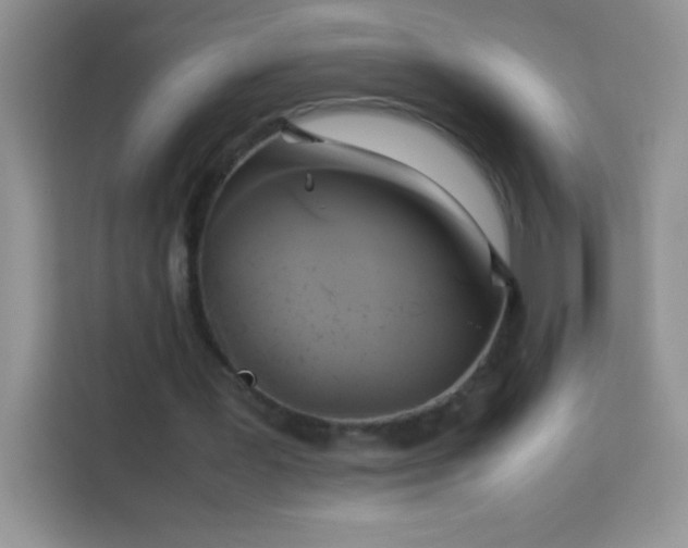X0000114150387200910081337