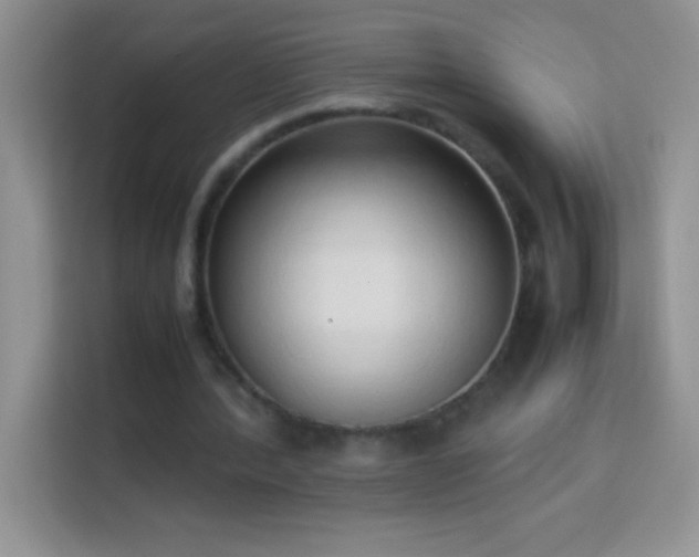 X0000114150388200910081337