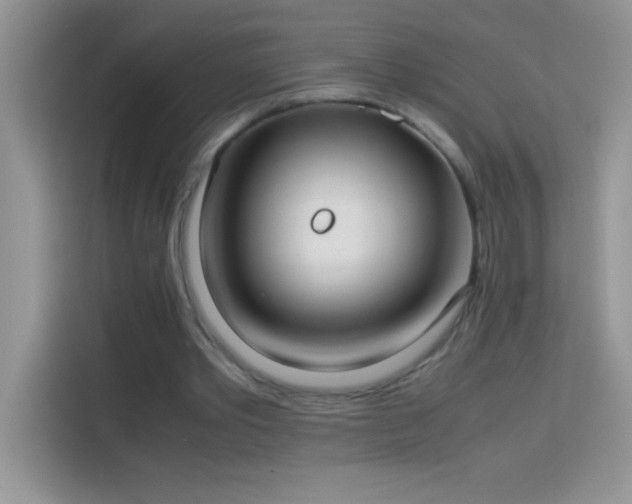 X0000114150389200910081337