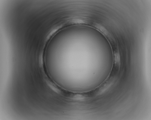 X0000114150390200910081337