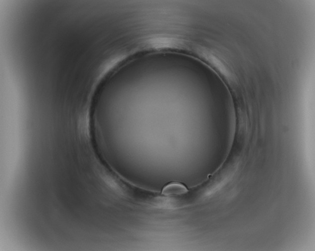 X0000114150391200910081337