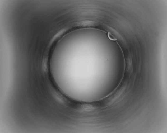 X0000114150392200910081337