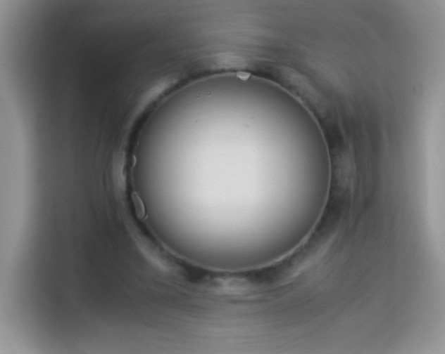 X0000114150395200910081337