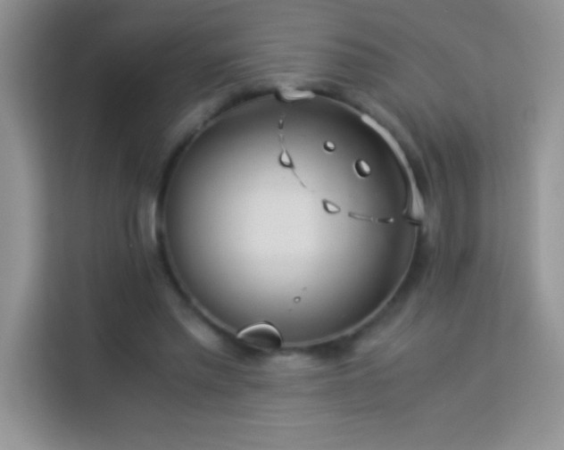 X0000114150397200910081337