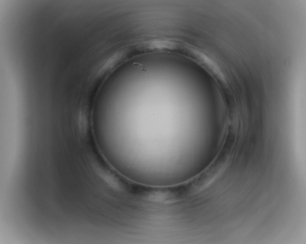 X0000114150402200910081337