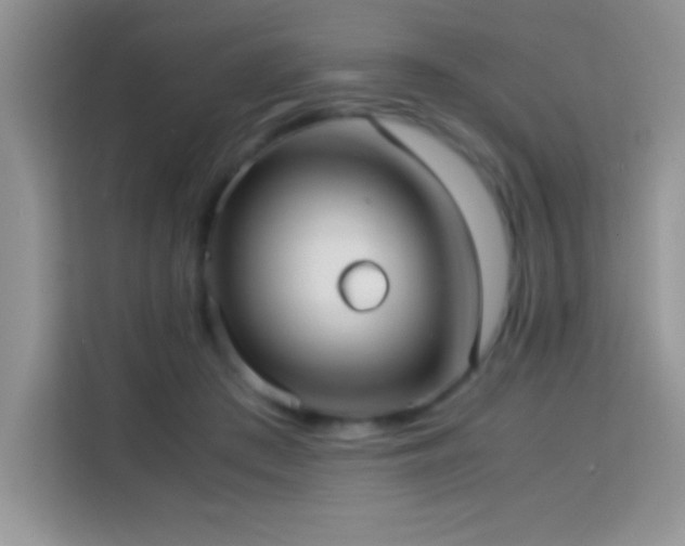 X0000114150409200910081337