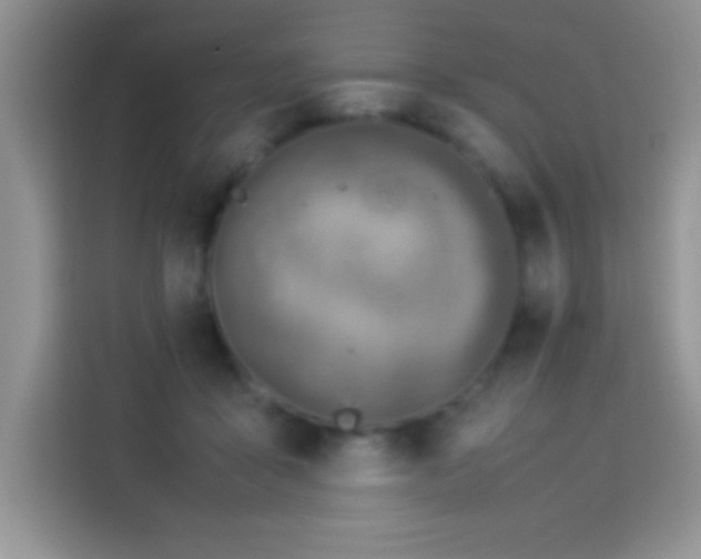 X0000114150411200910081337