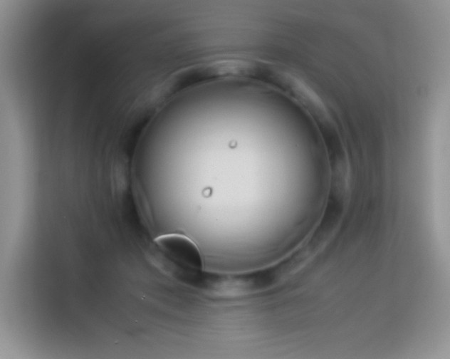 X0000114150413200910081337