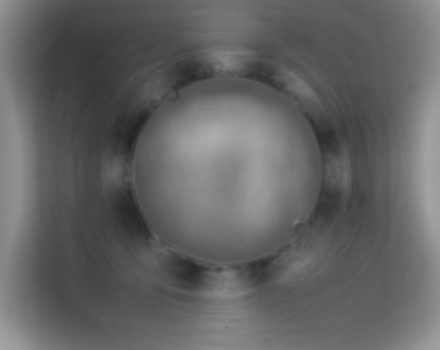 X0000114150419200910081337