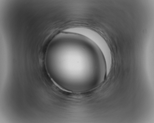 X0000114150423200910081337