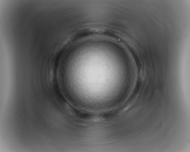 X0000114150424200910081337