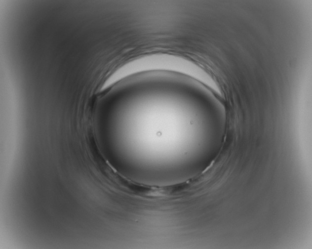 X0000114150425200910081337
