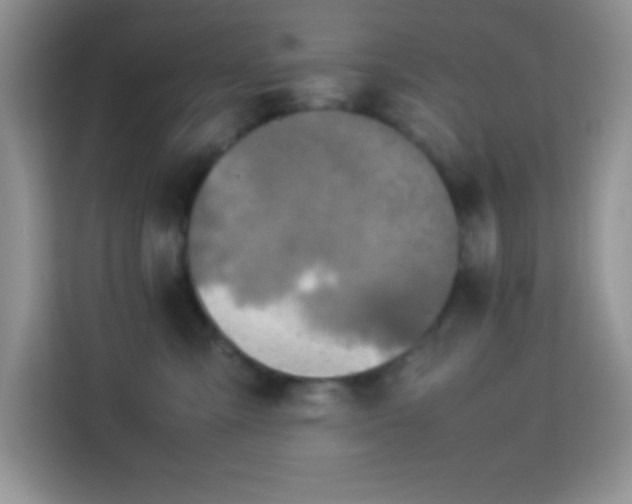 X0000114150427200910081337