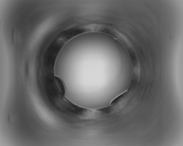 X0000114150429200910081336