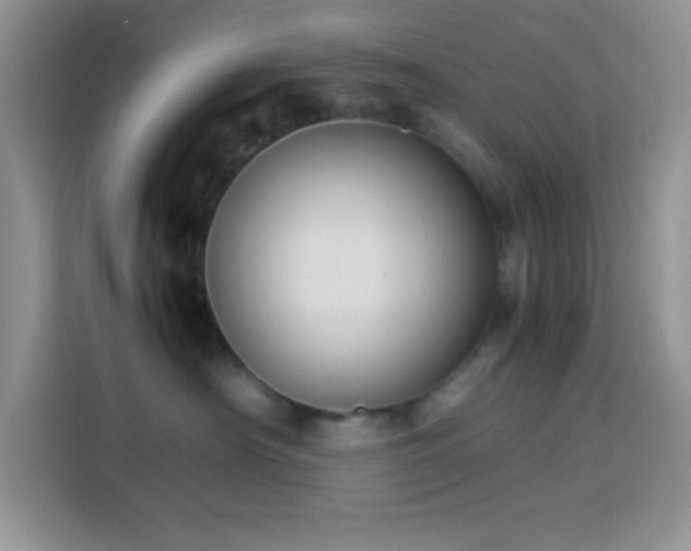 X0000114150430200910081336