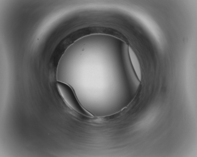 X0000114150431200910081336