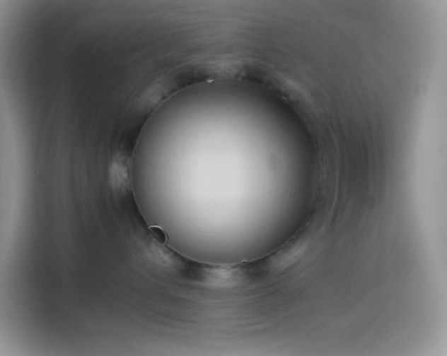 X0000114150432200910081336