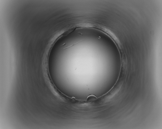 X0000114150433200910081336