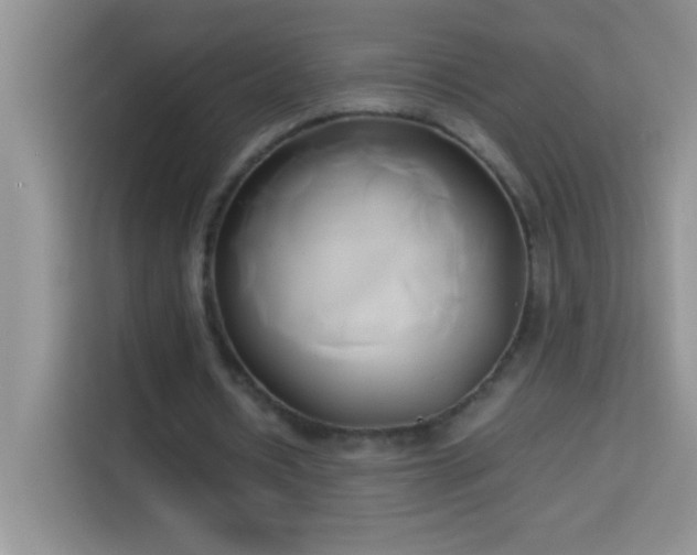 X0000114150434200910081336