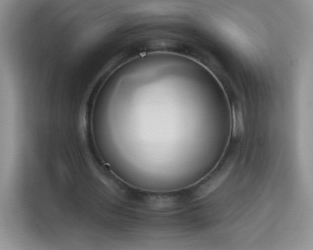 X0000114150435200910081336