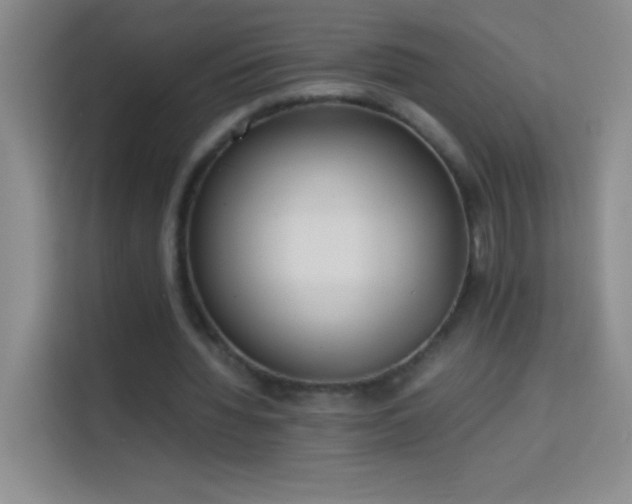 X0000114150436200910081336