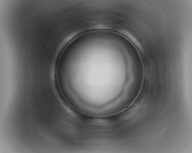 X0000114150437200910081336