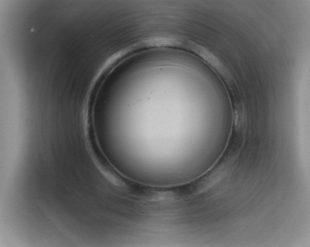 X0000114150438200910081336