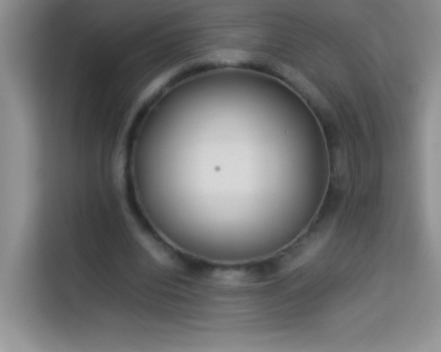 X0000114150440200910081336