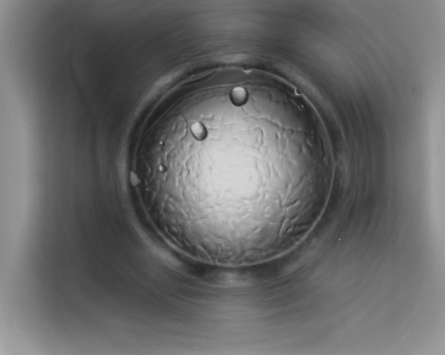 X0000114150442200910081336