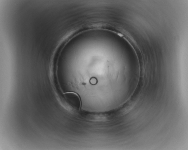 X0000114150443200910081336