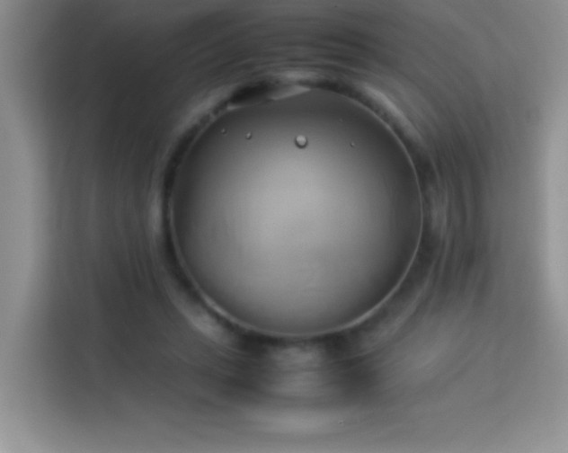X0000114150447200910081336