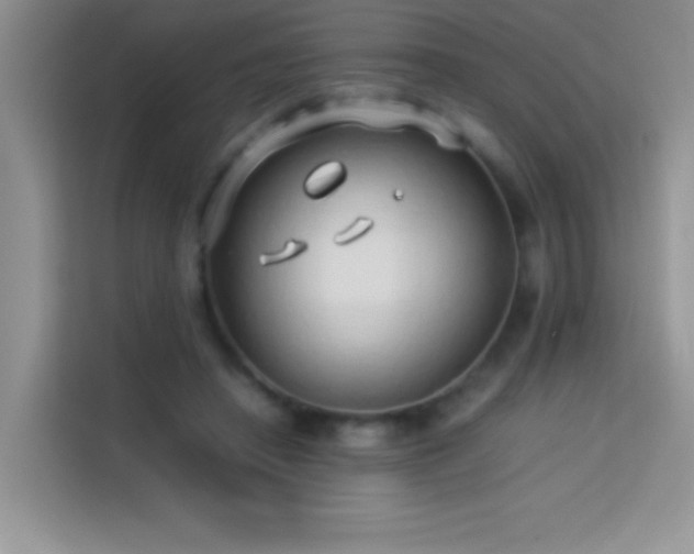X0000114150450200910081336