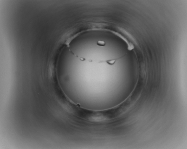 X0000114150451200910081336