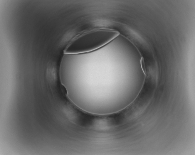 X0000114150452200910081336