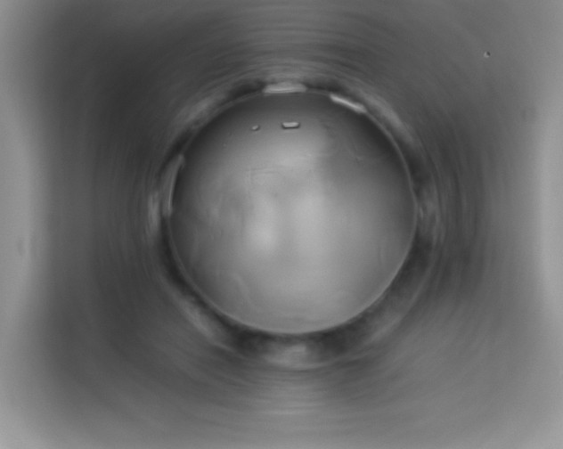 X0000114150454200910081336