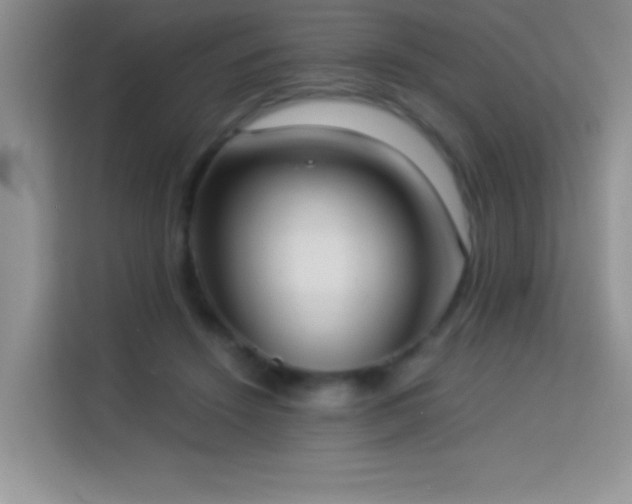 X0000114150456200910081336