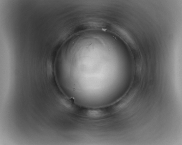 X0000114150457200910081336