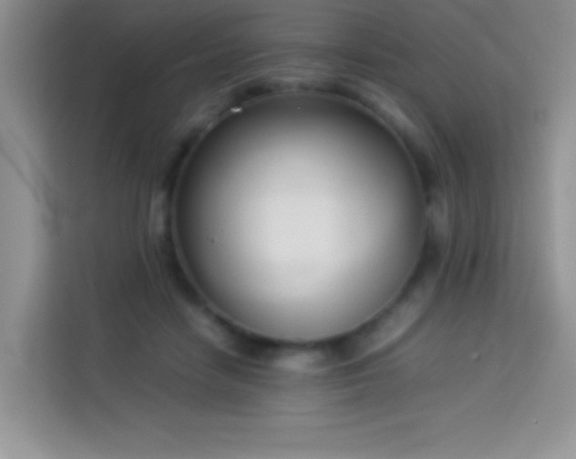 X0000114150458200910081336