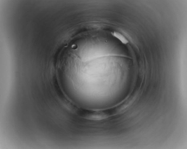 X0000114150459200910081336